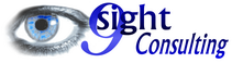 9sight Consulting: Insight beyond Business Intelligence Logo